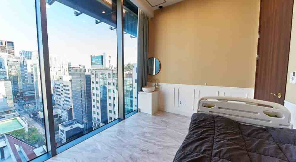 Подтвержденные отзывы пациентов о VG Plastic Surgery в Seoul, South Korea Slider image 4