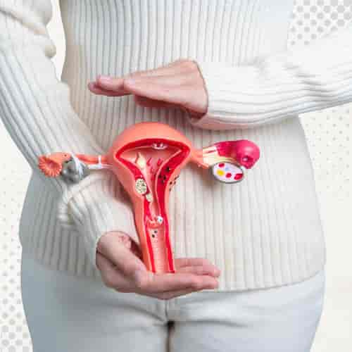 Пакет услуг по омоложению яичников с помощью передовых методов лечения стволовыми клетками в Таиланде от клиники Vega в Бангкоке