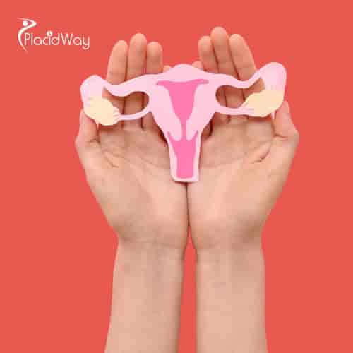 Пакет услуг по омоложению яичников с помощью передовых методов лечения стволовыми клетками в Таиланде от клиники Vega в Бангкоке