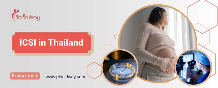 ИКСИ в Таиланде thumbnail