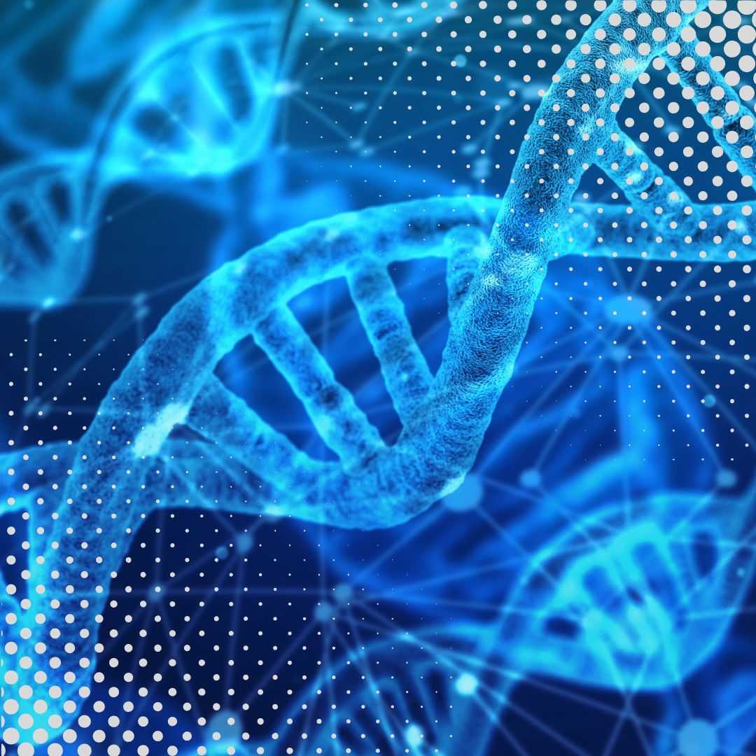 Терапия стволовыми клетками в Словакии