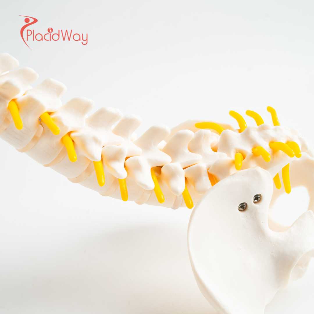 Может ли терапия стволовыми клетками в Таиланде помочь обратить вспять дегенеративное заболевание межпозвоночных дисков?