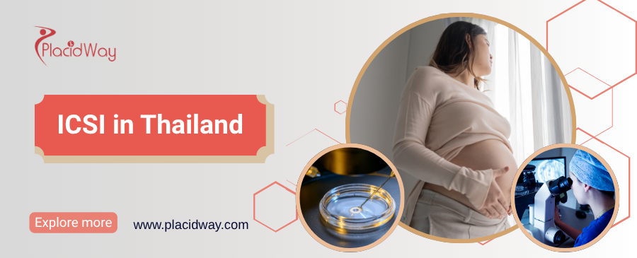 ИКСИ в Таиланде