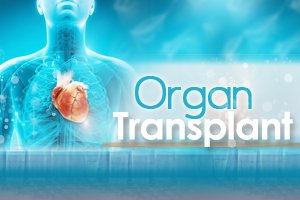 Organ Transplant
